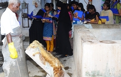 CSIR-CLRI Open day 2017